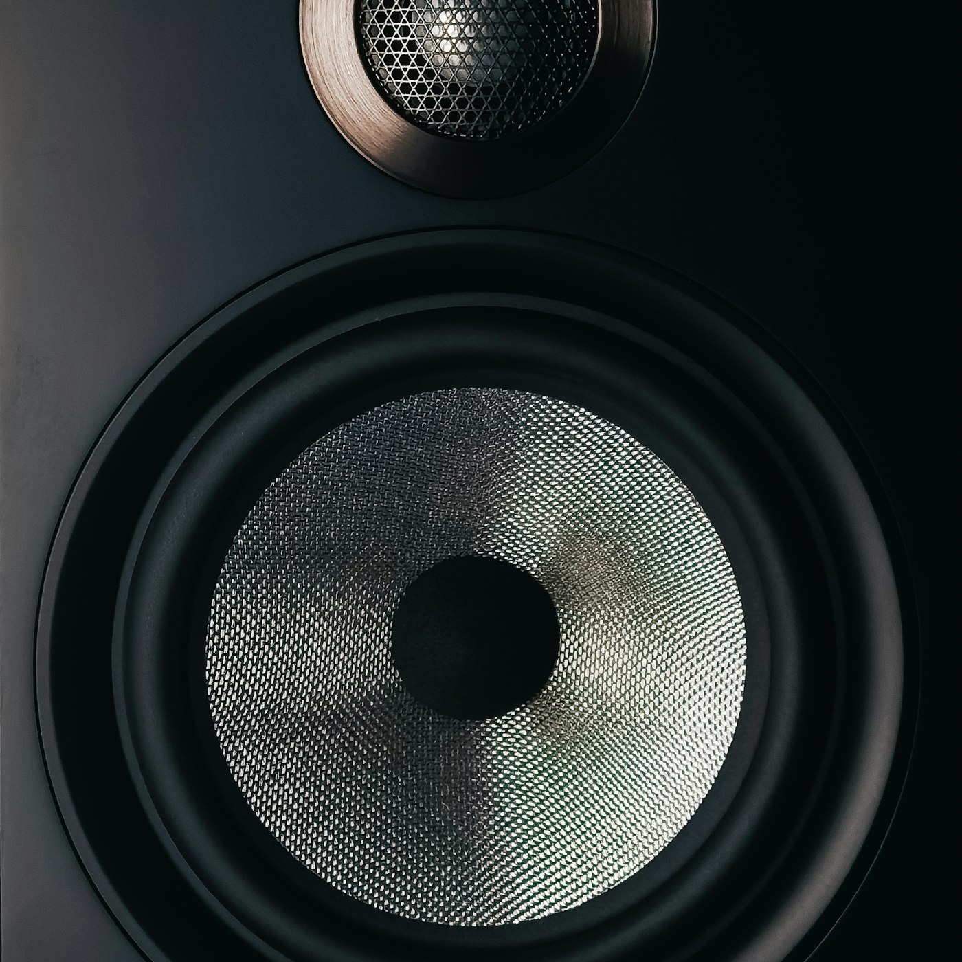 M2 woofer close-up